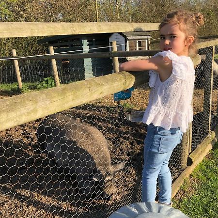 Willow Court Farm Studio East & Petting Farm, 8 Mins To Legoland & Windsor, 15 Mins To Lapland Uk Kültér fotó