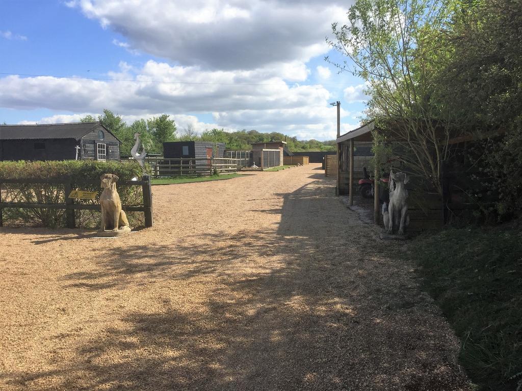 Willow Court Farm Studio East & Petting Farm, 8 Mins To Legoland & Windsor, 15 Mins To Lapland Uk Kültér fotó