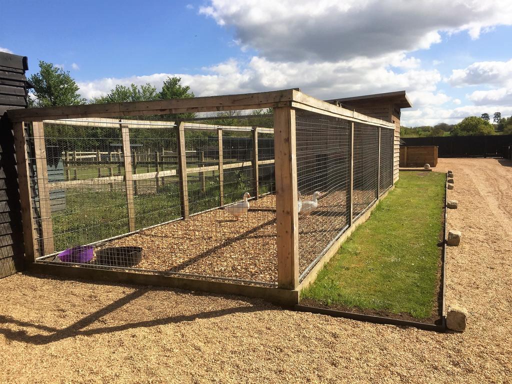 Willow Court Farm Studio East & Petting Farm, 8 Mins To Legoland & Windsor, 15 Mins To Lapland Uk Kültér fotó
