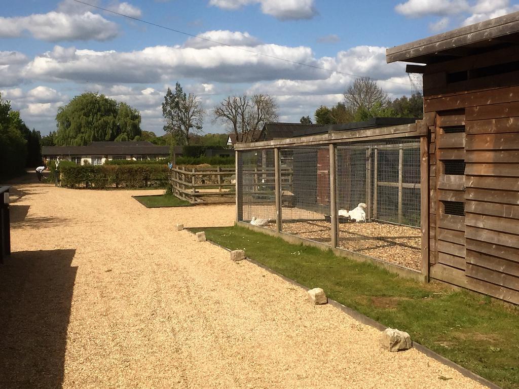 Willow Court Farm Studio East & Petting Farm, 8 Mins To Legoland & Windsor, 15 Mins To Lapland Uk Kültér fotó