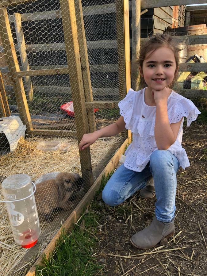 Willow Court Farm Studio East & Petting Farm, 8 Mins To Legoland & Windsor, 15 Mins To Lapland Uk Kültér fotó