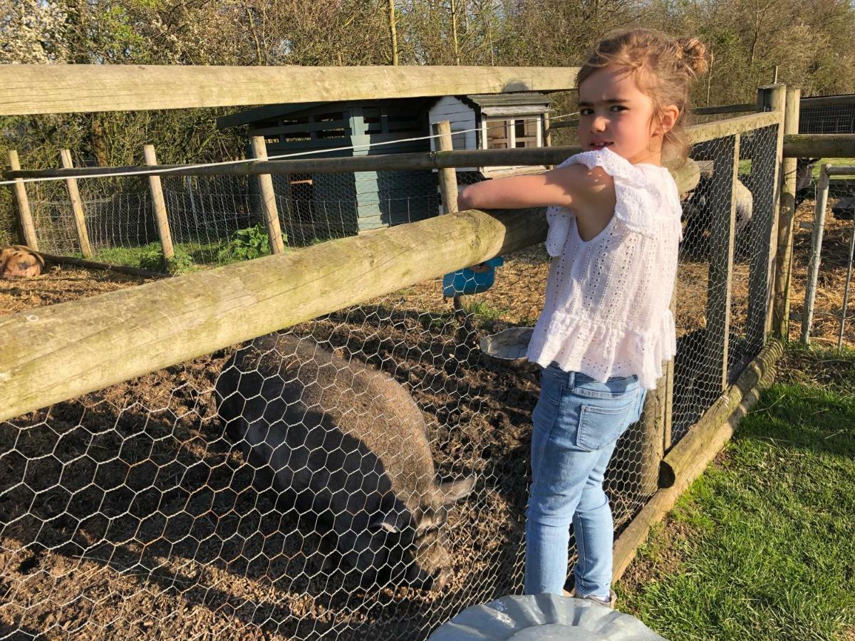 Willow Court Farm Studio East & Petting Farm, 8 Mins To Legoland & Windsor, 15 Mins To Lapland Uk Kültér fotó