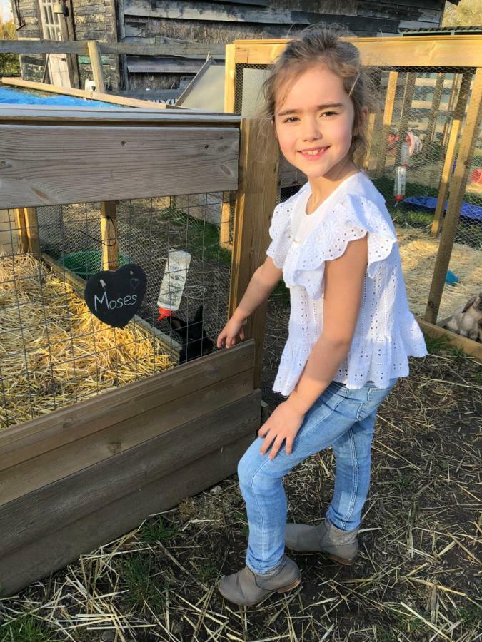 Willow Court Farm Studio East & Petting Farm, 8 Mins To Legoland & Windsor, 15 Mins To Lapland Uk Kültér fotó