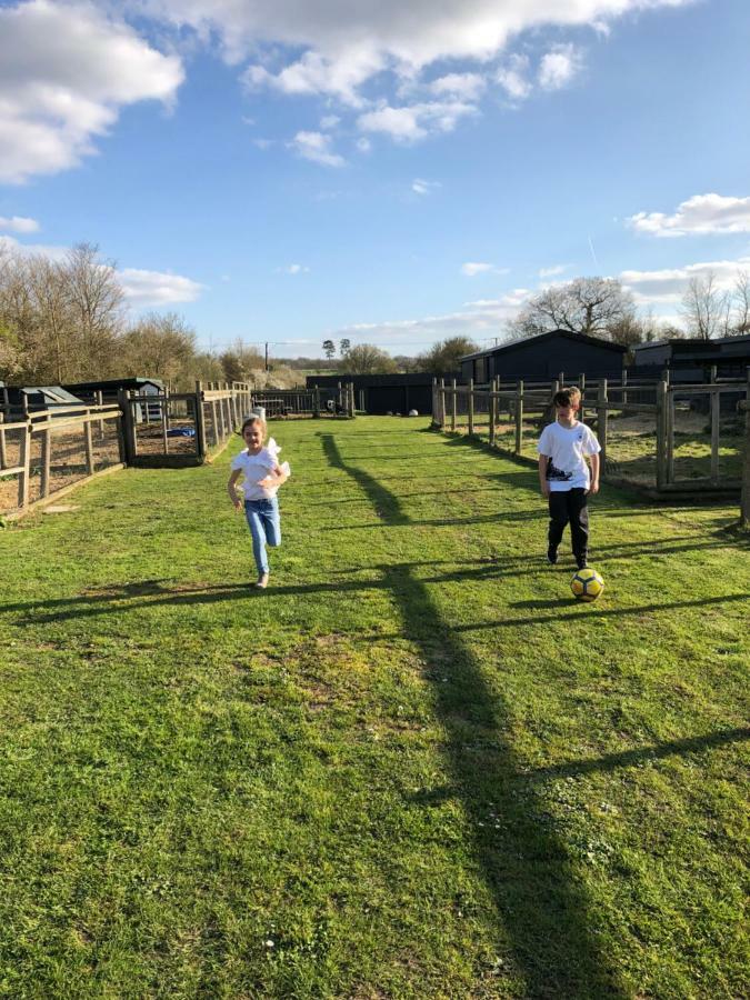 Willow Court Farm Studio East & Petting Farm, 8 Mins To Legoland & Windsor, 15 Mins To Lapland Uk Kültér fotó