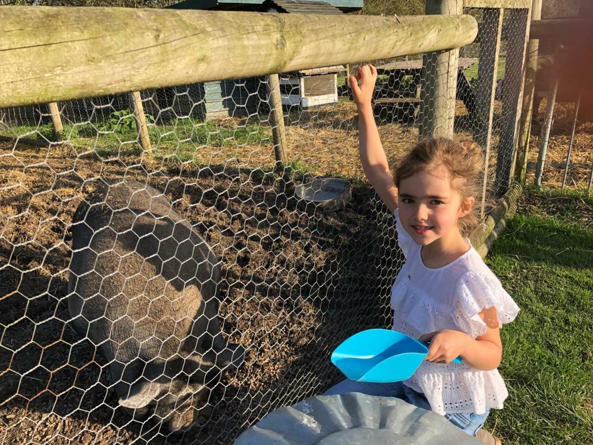 Willow Court Farm Studio East & Petting Farm, 8 Mins To Legoland & Windsor, 15 Mins To Lapland Uk Kültér fotó